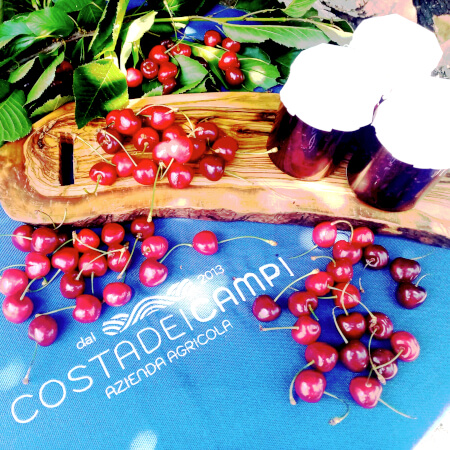 Cherry Compote(4)