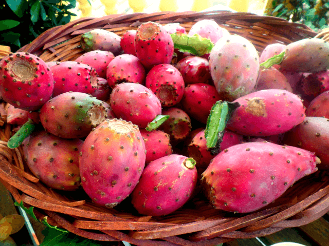 Figues de Barbarie