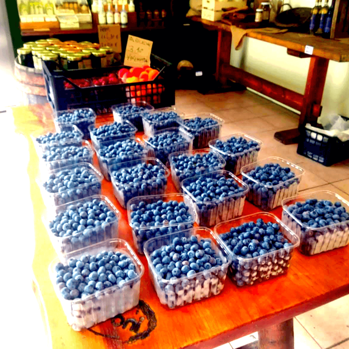 Costa dei Campi Blueberries (2)