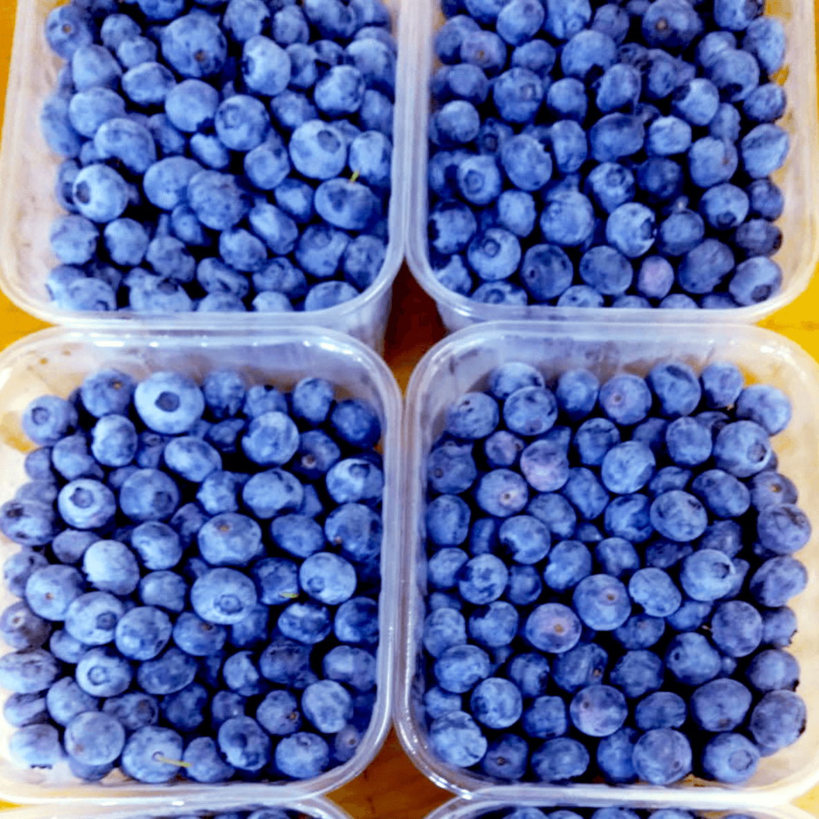 Costa dei Campi Blueberries (3)